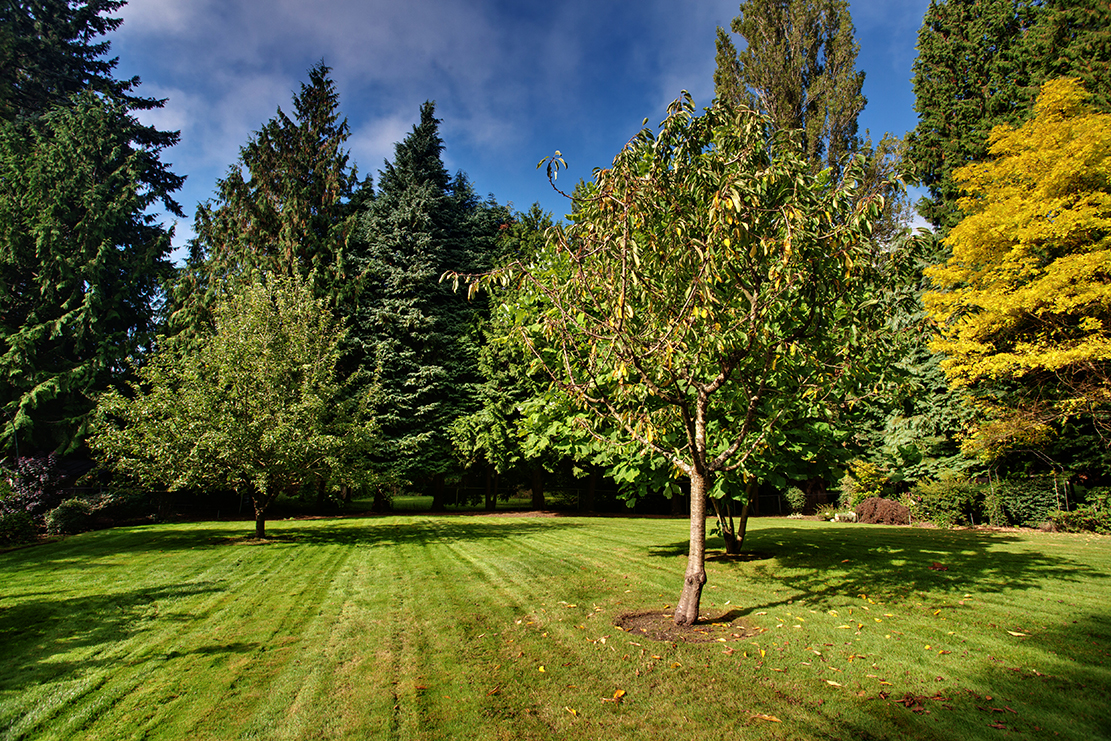 lawn real estate photography